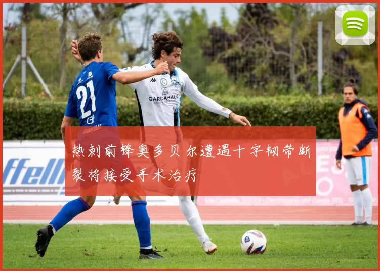热刺前锋奥多贝尔遭遇十字韧带断裂将接受手术治疗